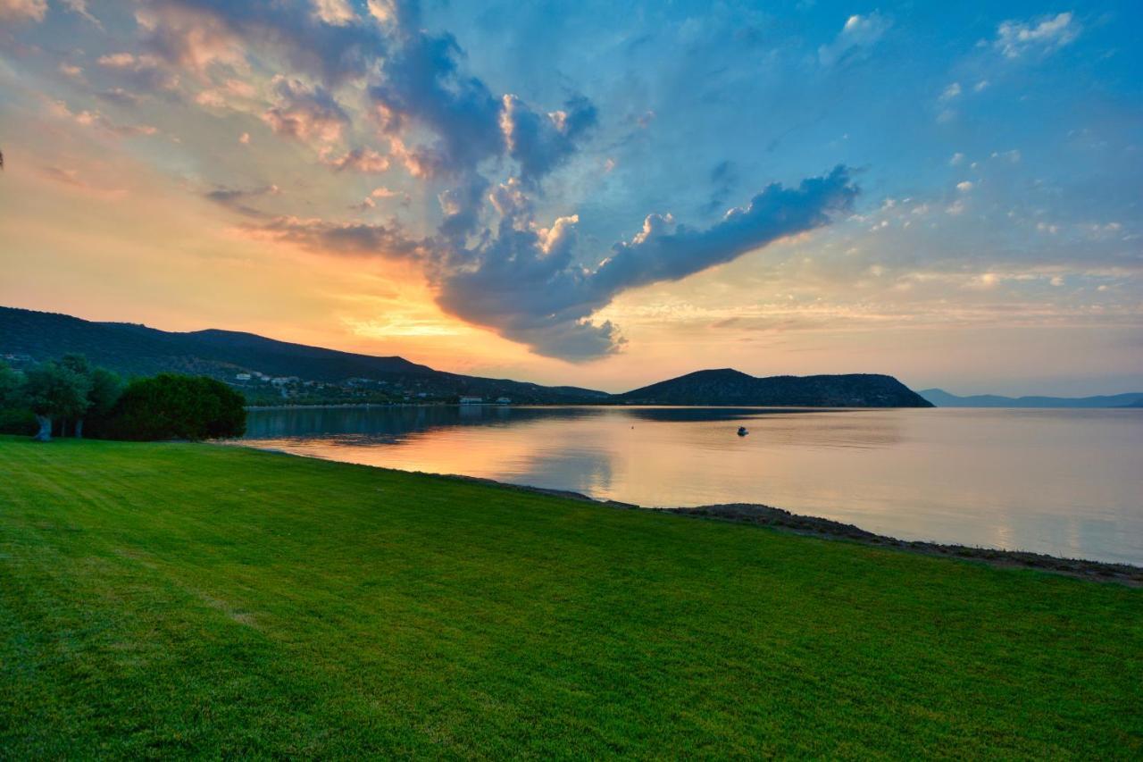 Dardiza Boutique Hotel Ermioni Bagian luar foto